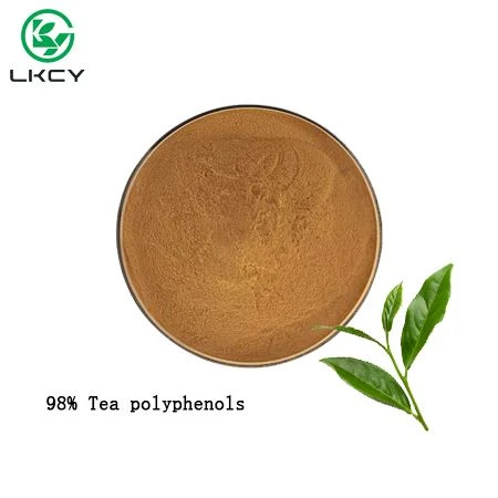 Detholiad Te Gwyrdd Polyphenolau Te